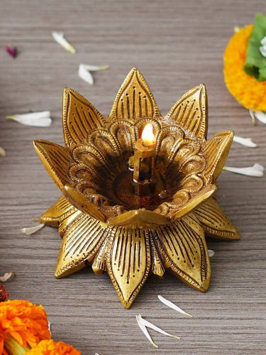 https://cdn.shopify.com/s/files/1/1857/6931/products/J2ve52aldv.jpg?v=1706182925